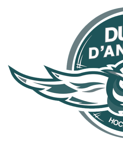 Team Duc's Dangers Logo