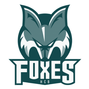 Team Foxes Logo