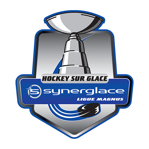 Team Logo
