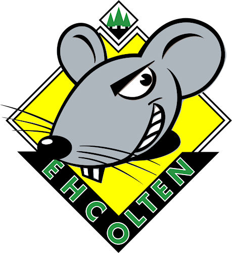 Team Logo