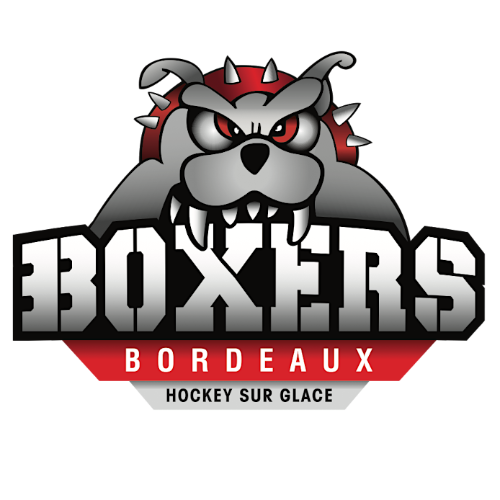 Team Logo