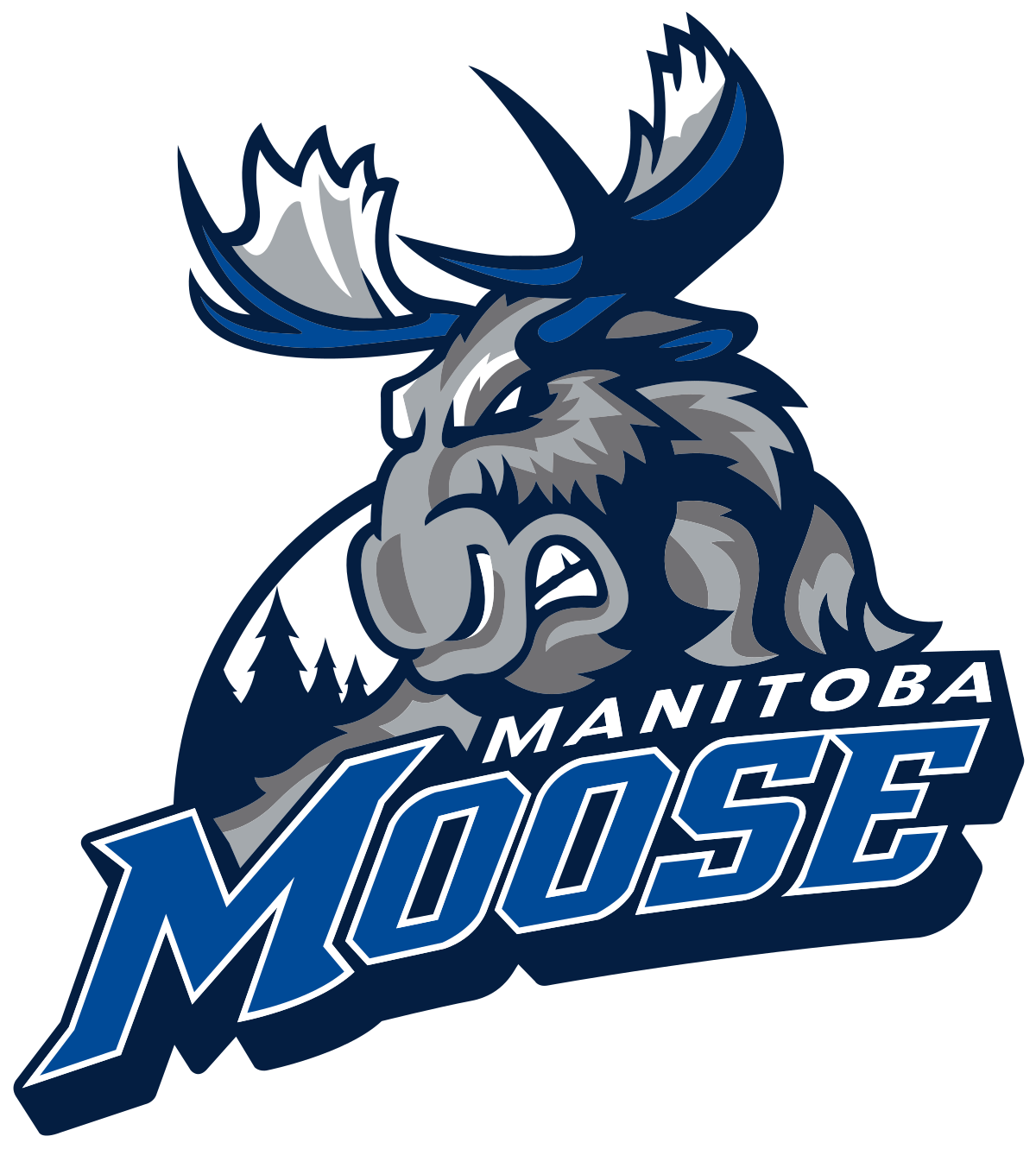 Team Logo