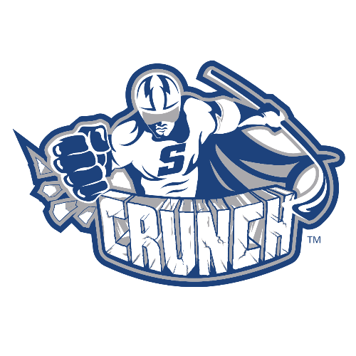 Team Logo