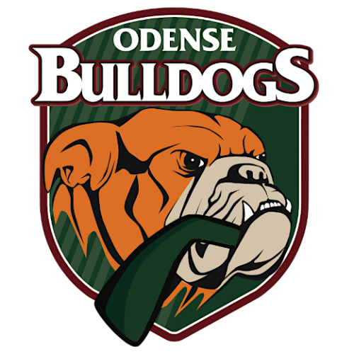 Team Logo
