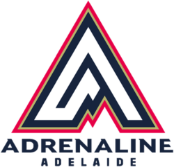 Team Logo
