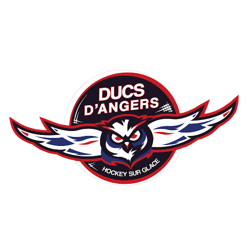 Team Logo
