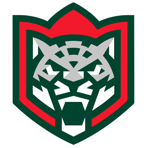Team Logo