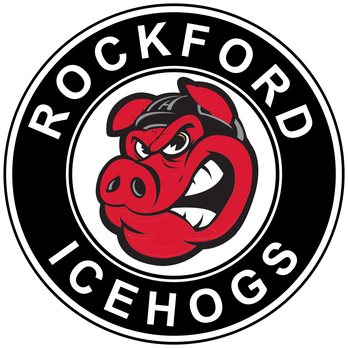 Team Logo