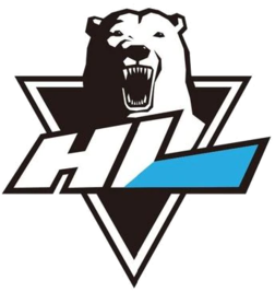 Team Logo